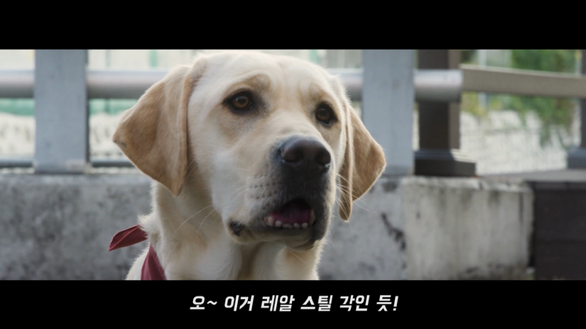 생명보험사회공헌재단_다들어줄개
